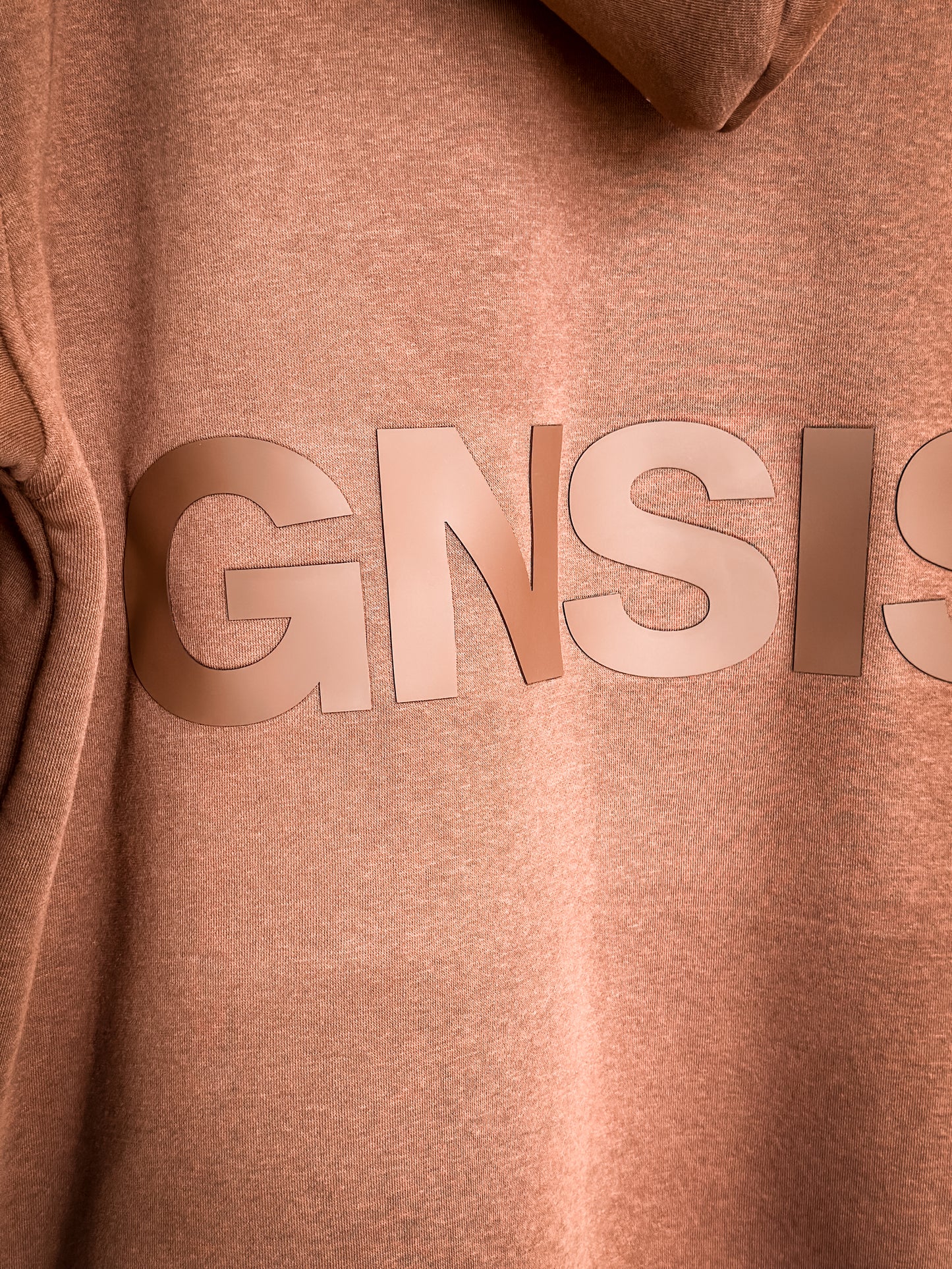 Hoodie Ref. GNSIS